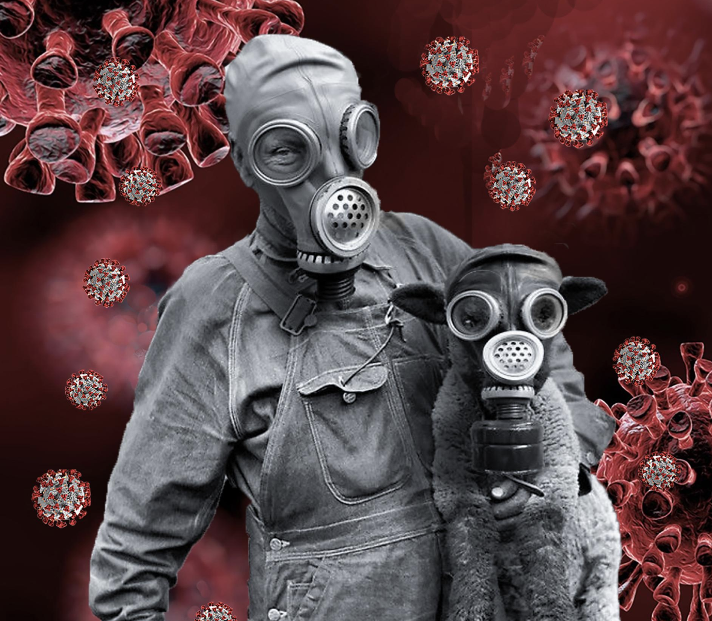 corona virus pandemic dreams